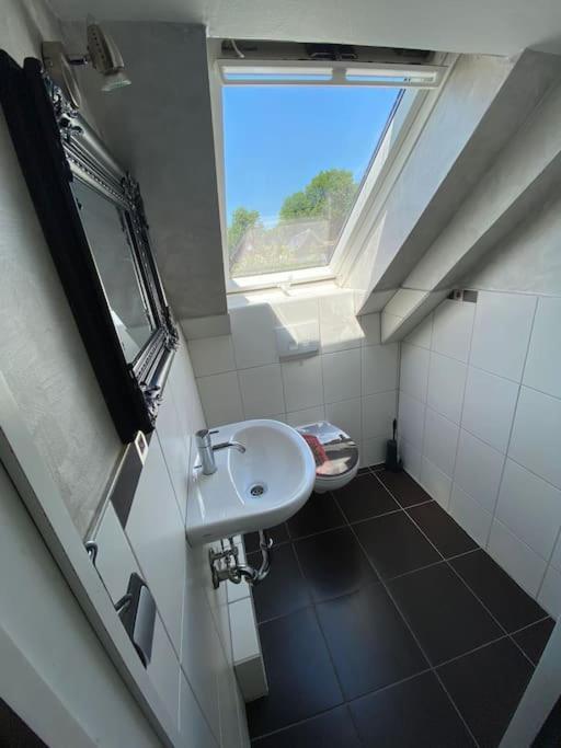 Ferien-Villa Direkt Am Rhein Sauna/Whirlpool Gotterswickerhamm エクステリア 写真